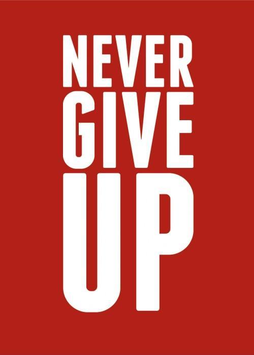 Never give up Picture Quote #3