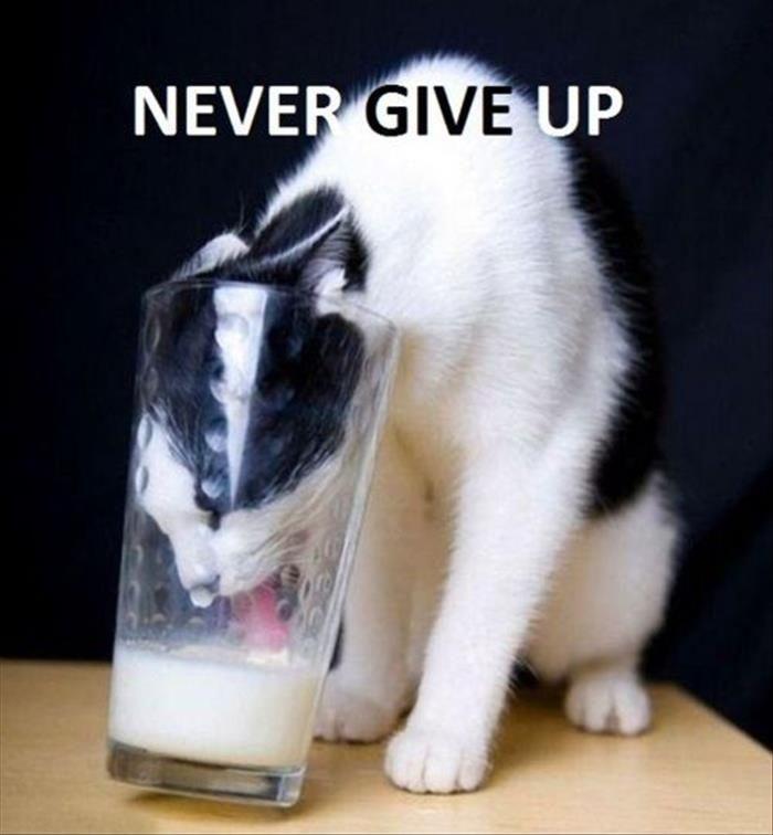 Never give up Picture Quote #4