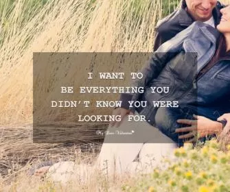 I want to be everything you didn't know you were looking for Picture Quote #1