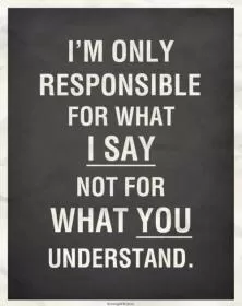 I'm only responsible for what i say not for what you understand Picture Quote #1