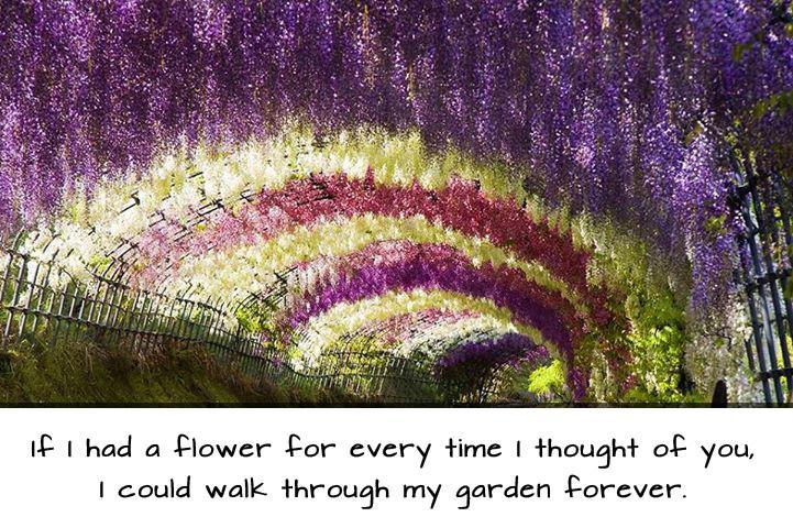 If I had a flower for every time I thought of you, i could walk through my garden forever Picture Quote #1