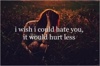 I wish i could hate you, it would hurt less Picture Quote #1