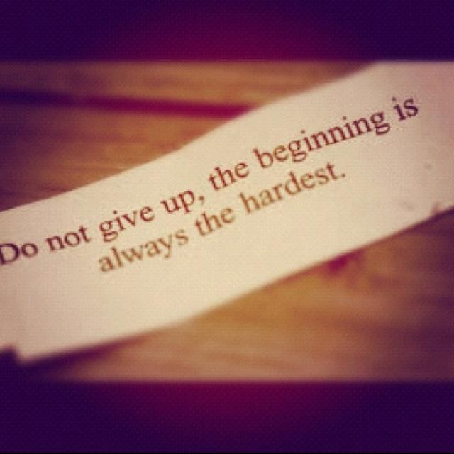 Don't give up, the beginning is always the hardest Picture Quote #2