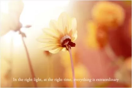 In the right light, at the right time, everything is extraordinary Picture Quote #1