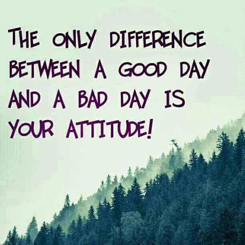 The only difference between a good day and a bad day is your attitude Picture Quote #3