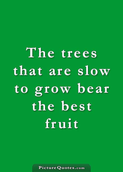 The trees that are slow to grow bear the best fruit Picture Quote #2