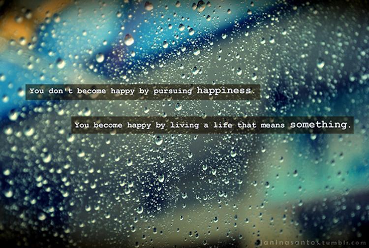 You don't become happy by pursuing happiness. You become happy by living a life that means something Picture Quote #2