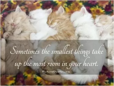 Sometimes the smallest things take up the most room in your heart Picture Quote #1