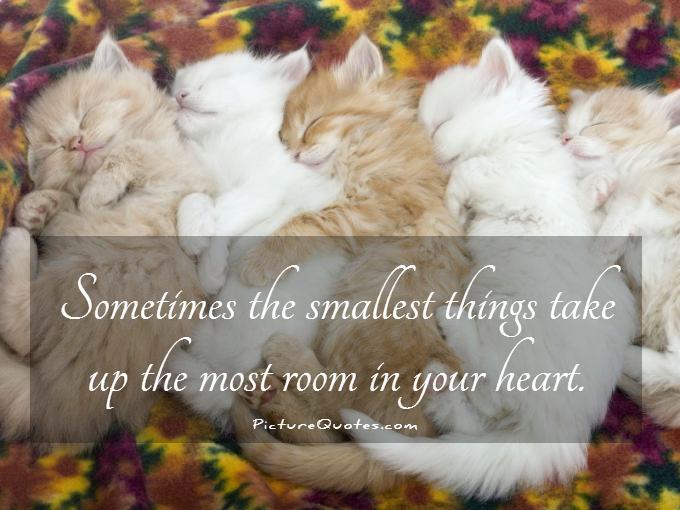 Sometimes the smallest things take up the most room in your heart Picture Quote #1