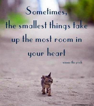 Sometimes the smallest things take up the most room in your heart Picture Quote #2