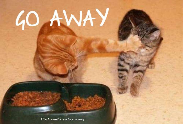 Go away Picture Quote #3