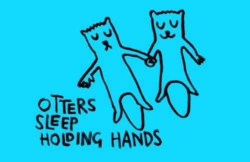 Sea otters sleep holding hands Picture Quote #3