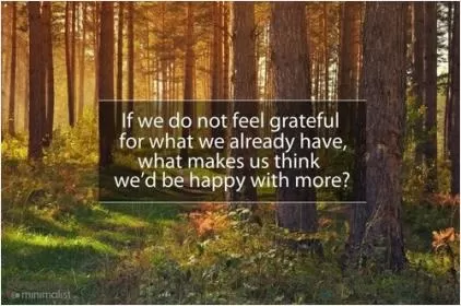 If we do not feel grateful for what we already have, what makes us think we'd be happy with more Picture Quote #1