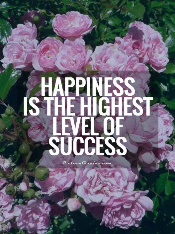 Happiness is the highest level of success Picture Quote #1