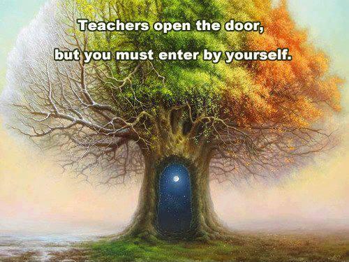 Teachers open the door, but you must enter by yourself Picture Quote #1