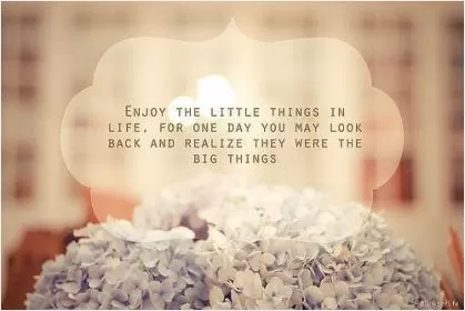 Enjoy the little things, for one day you may look back and realize they were the big things Picture Quote #1