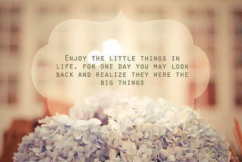 Enjoy the little things, for one day you may look back and realize they were the big things Picture Quote #1