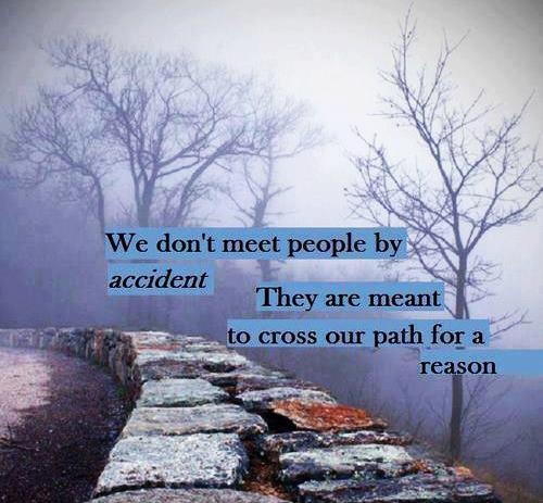 We don't meet people by accident, they are meant to cross our path for a reason Picture Quote #2