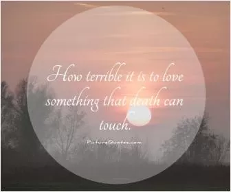 How terrible it is to love something that death can touch Picture Quote #1