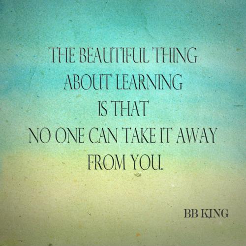 The beautiful thing about learning is that nobody can take it away from you Picture Quote #1