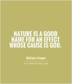 Nature is a good name for an effect whose cause is God Picture Quote #1