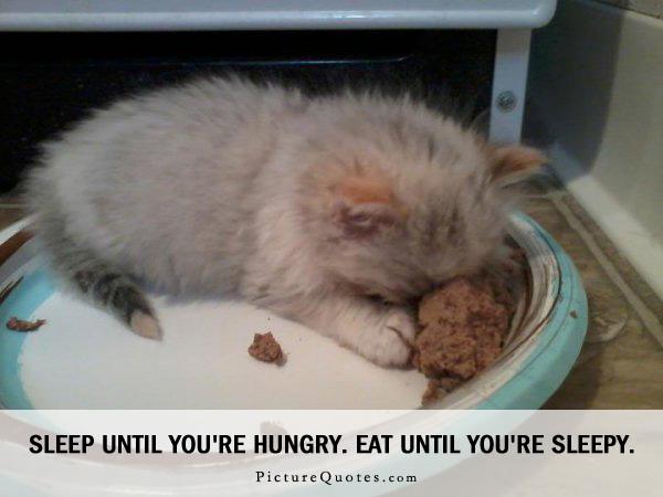 Sleep until you're hungry. Eat until you're sleepy Picture Quote #2