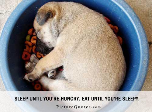 Sleep until you're hungry. Eat until you're sleepy Picture Quote #3