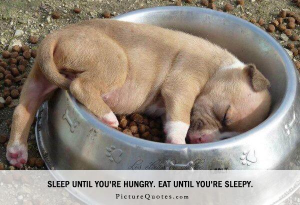 Sleep until you're hungry. Eat until you're sleepy Picture Quote #4