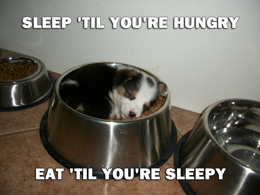 Sleep until you're hungry. Eat until you're sleepy Picture Quote #5