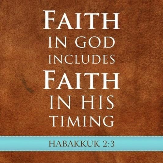 Faith in god includes faith in his timing Picture Quote #1