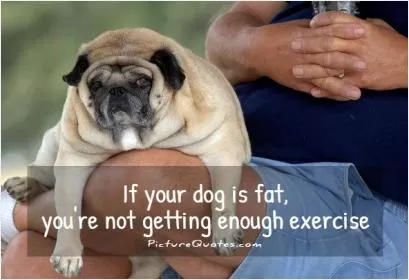 If your dog is fat, you're not getting enough exercise Picture Quote #1