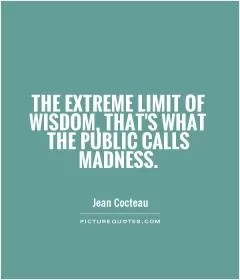 The extreme limit of wisdom, that's what the public calls madness Picture Quote #1
