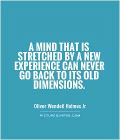 A mind that is stretched by a new experience can never go back to its old dimensions Picture Quote #1
