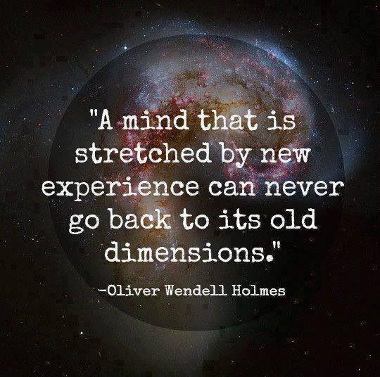A mind that is stretched by a new experience can never go back to its old dimensions Picture Quote #2
