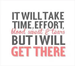 It will take time, effort, blood, sweat and tears. But i will get there Picture Quote #1