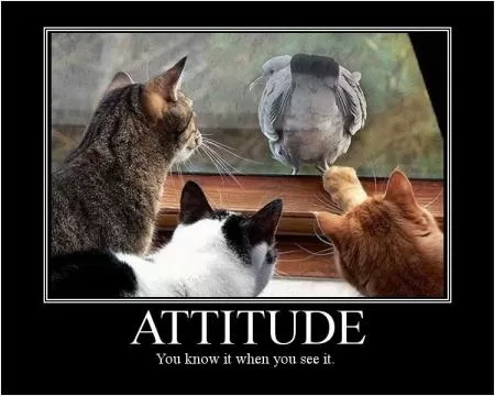 Attitude. You know it when you see it Picture Quote #1
