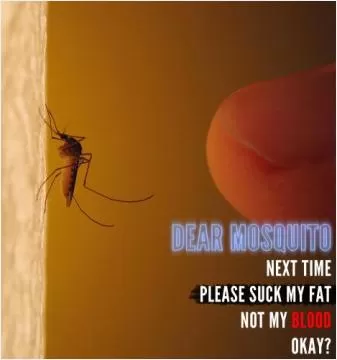 Dear Mosquito, next time suck my fat, not my blood, Ok? Picture Quote #1