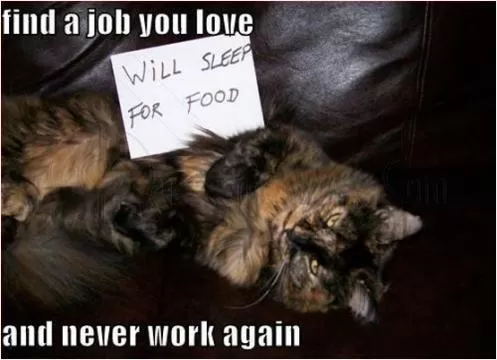Find a job you love, and never work again Picture Quote #1