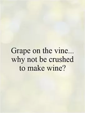Grape on the vine... why not be crushed to make wine? Picture Quote #1