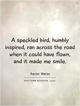 A speckled bird, humbly inspired, ran across the road when it could have flown, and it made me smile Picture Quote #1