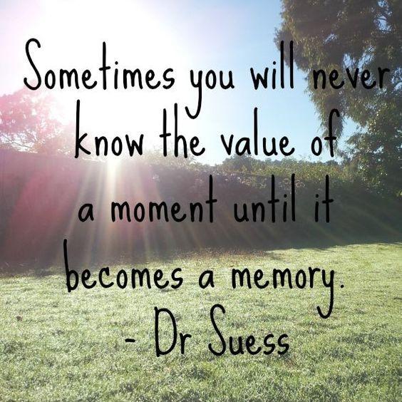 Sometimes you will never know the value of a moment until it becomes a memory Picture Quote #3