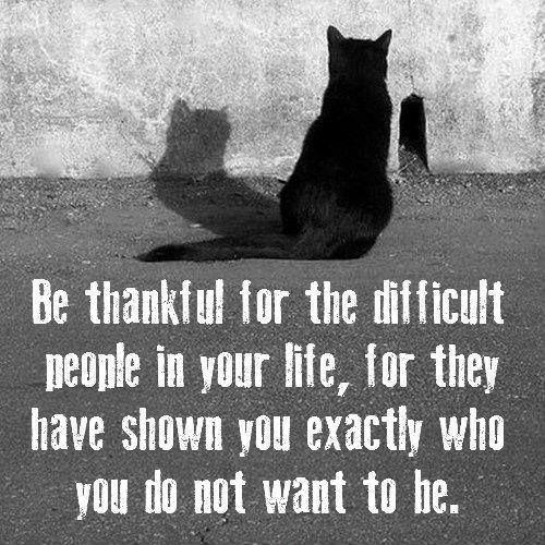 Be thankful for all the difficult people in your life, for they have shown you exactly who you do not want to be Picture Quote #1