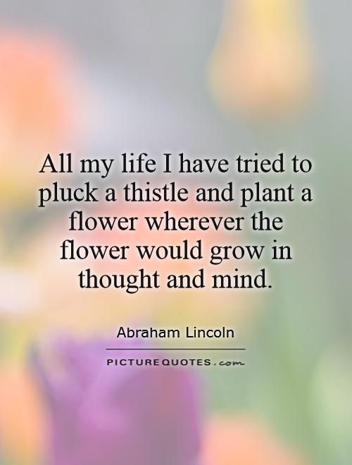 All my life I have tried to pluck a thistle and plant a flower wherever the flower would grow in thought and mind Picture Quote #1