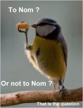 To nom? Or not to nom? That is the question Picture Quote #1