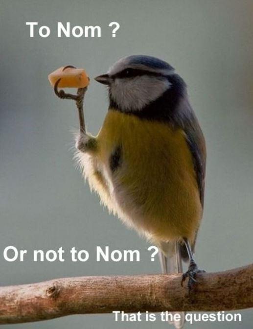 To nom? Or not to nom? That is the question Picture Quote #1