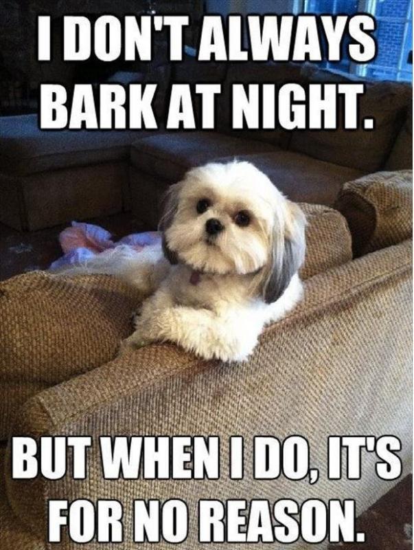 I don't always bark at night Picture Quote #1