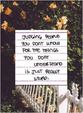 Judging people you don't know for the things you don't understand is just really stupid Picture Quote #1