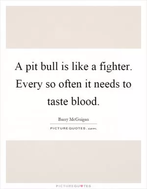 A pit bull is like a fighter. Every so often it needs to taste blood Picture Quote #1