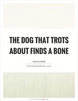 The dog that trots about finds a bone Picture Quote #1