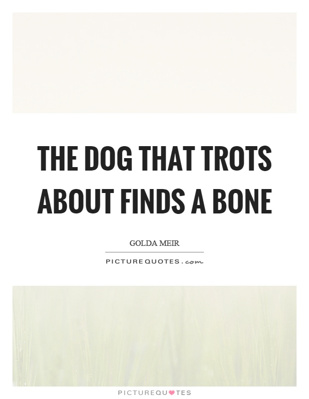 The dog that trots about finds a bone Picture Quote #1